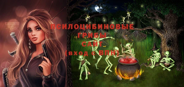 ГАЛЛЮЦИНОГЕННЫЕ ГРИБЫ Алексин