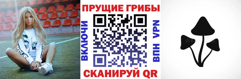 дарнет шоп  Арамиль  Галлюциногенные грибы MAGIC MUSHROOMS 